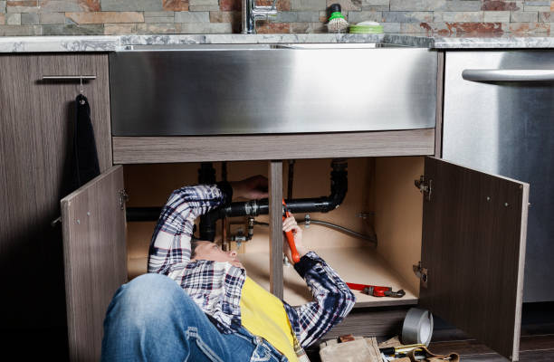 Best Plumbing Inspection Services  in Lincoln, IL